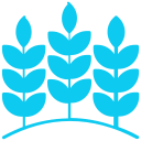 Wheat icon
